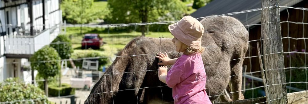 Kleinkind streichelt Esel